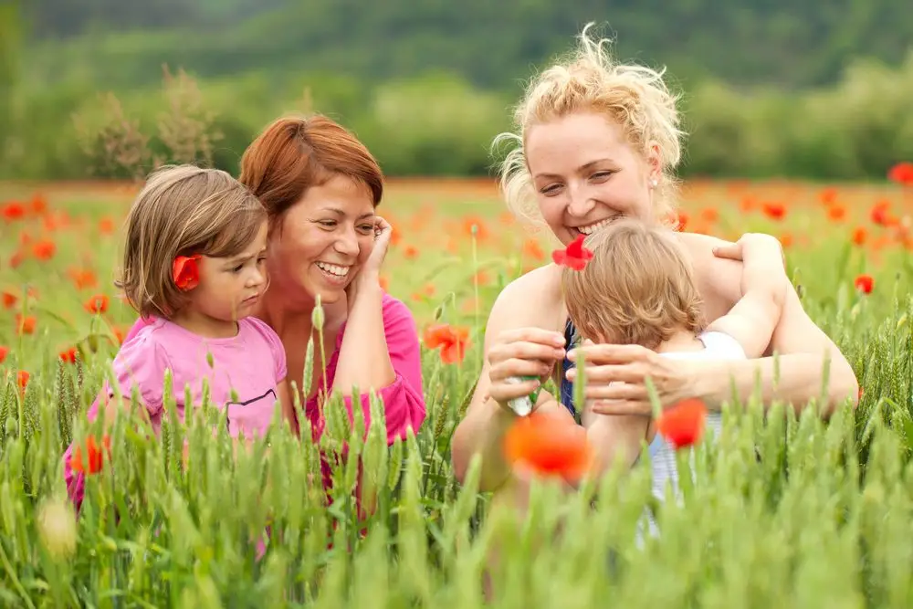 child-custody-gay-marriage-waggoner-hastings